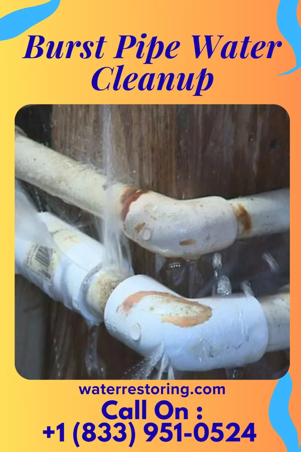 Burst Pipe Water Cleanup in Dallastown, PA