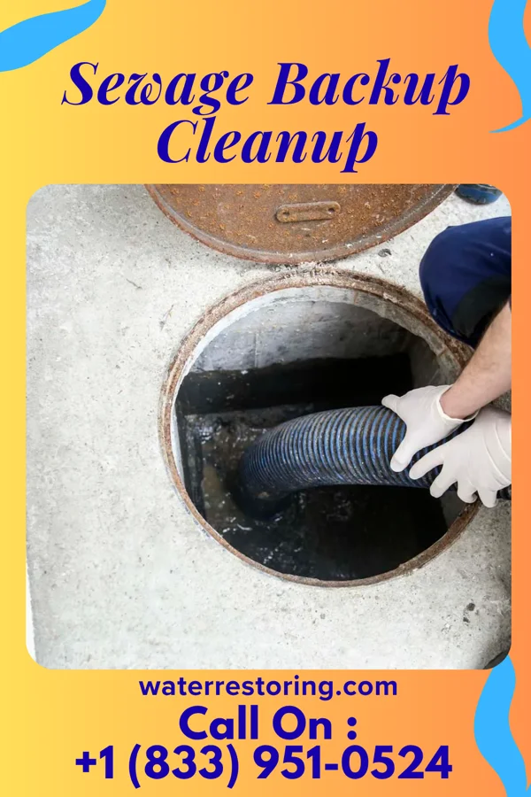 Sewage Backup Cleanup in Dallastown, PA