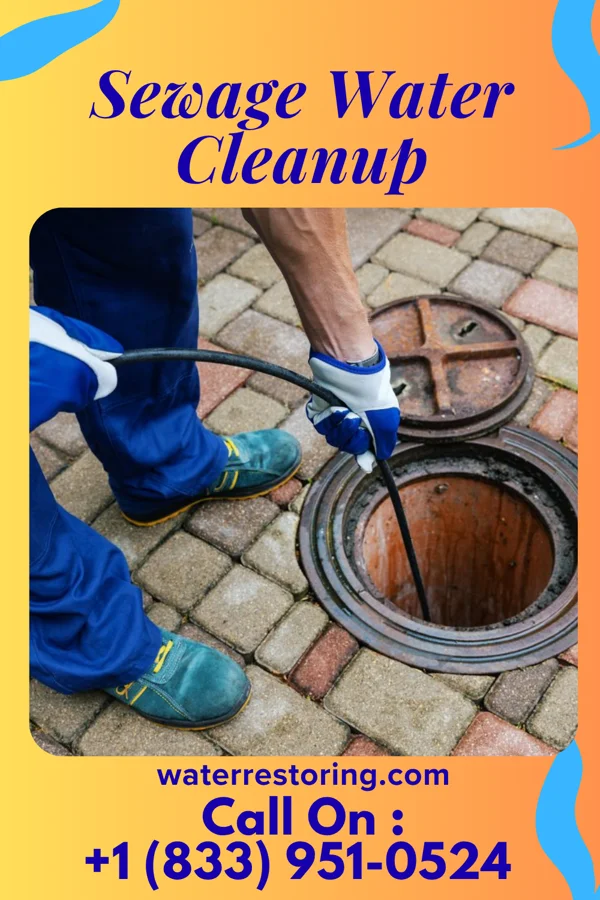 Sewage Water Cleanup in Dallastown, PA